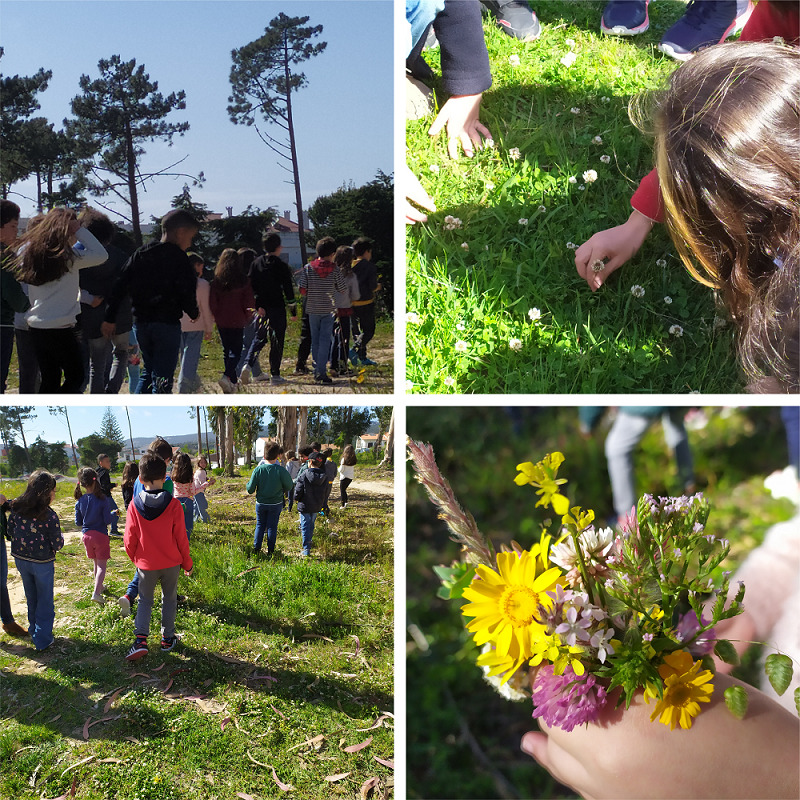 Abadias mergulha na Natureza