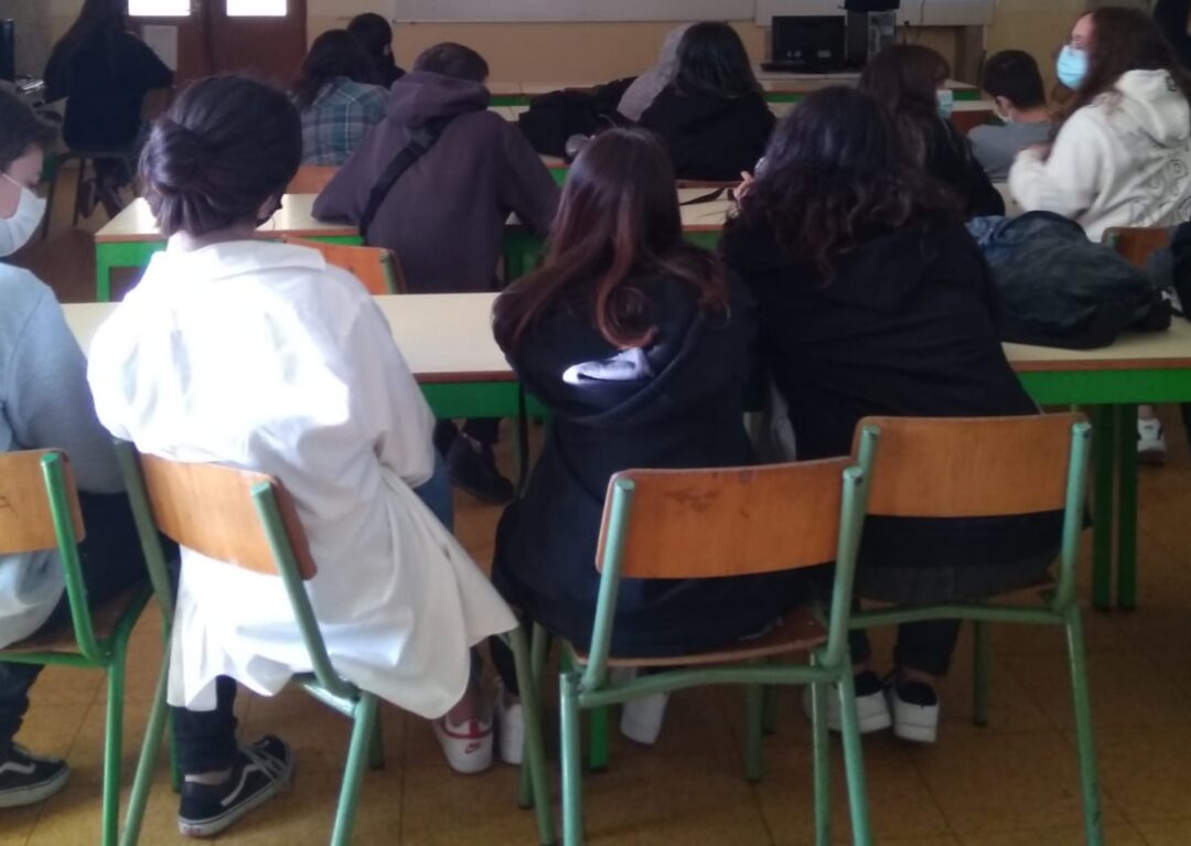 Vida em Perigo: Debate sobre espécies ameaças