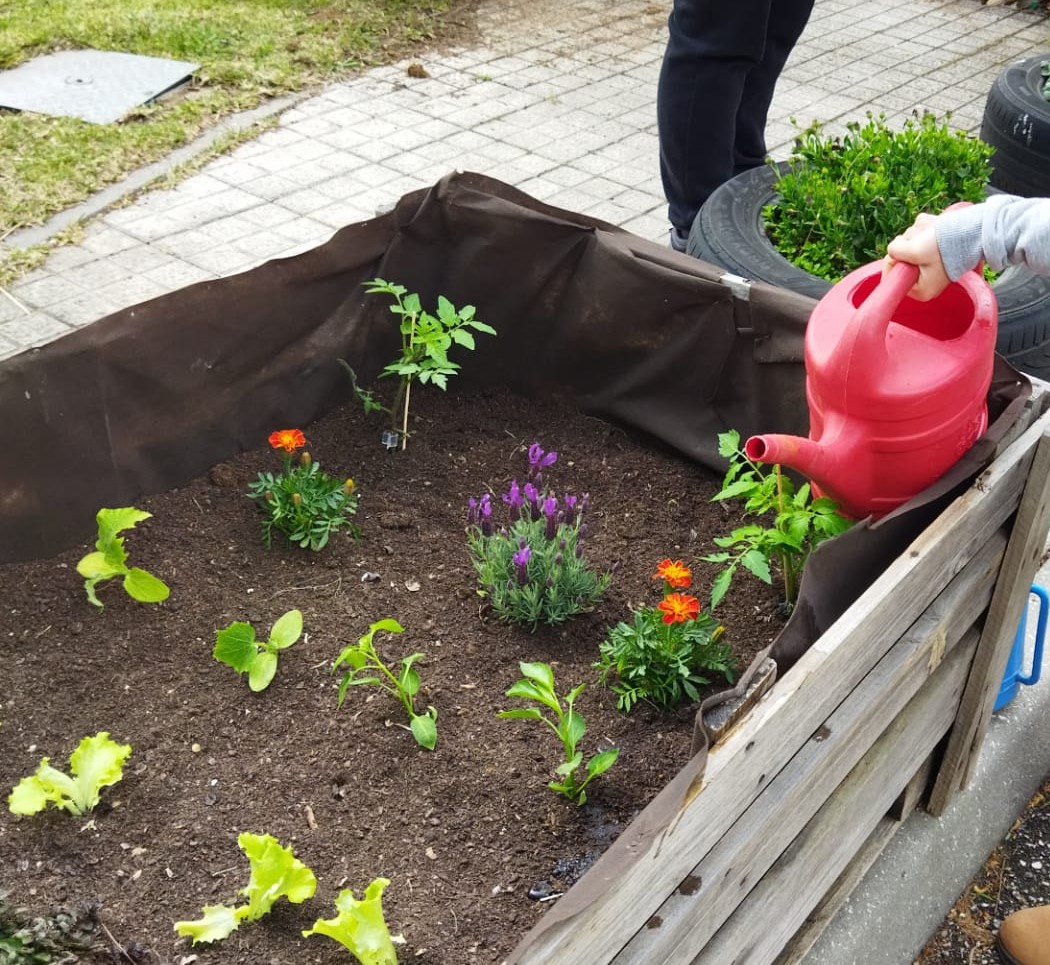 Plantação e rega de diferentes produtos hortícolas, ervas aromáticas e plantas ornamentais