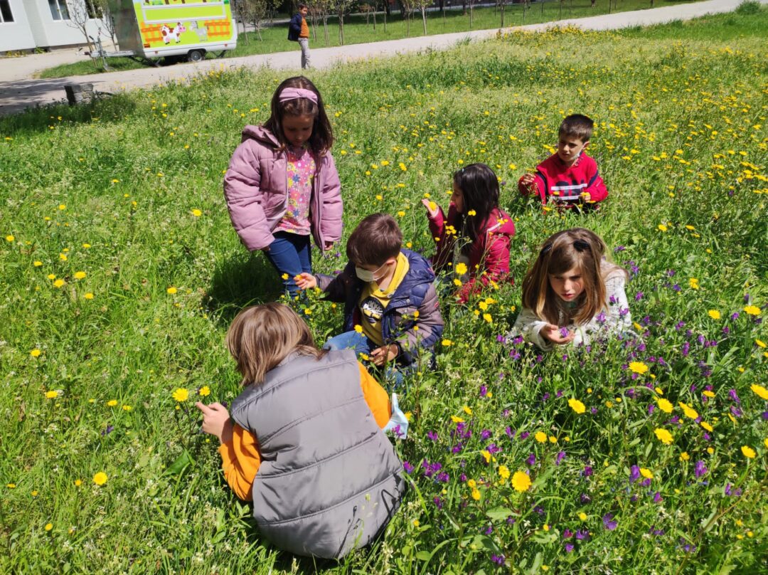 Mergulhar na beleza da  Natureza