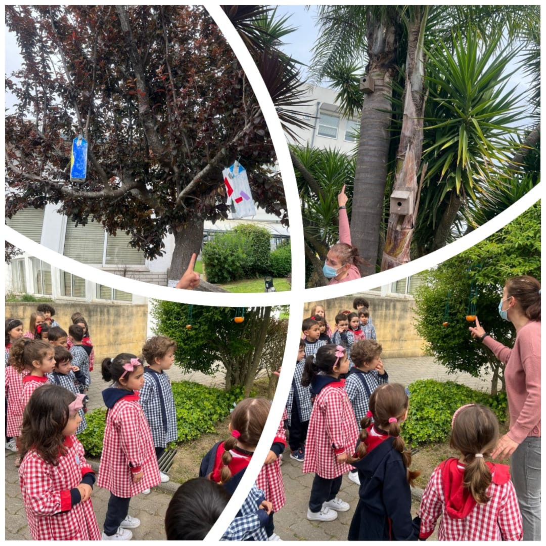 Construção de Comedouros e ninhos para aves