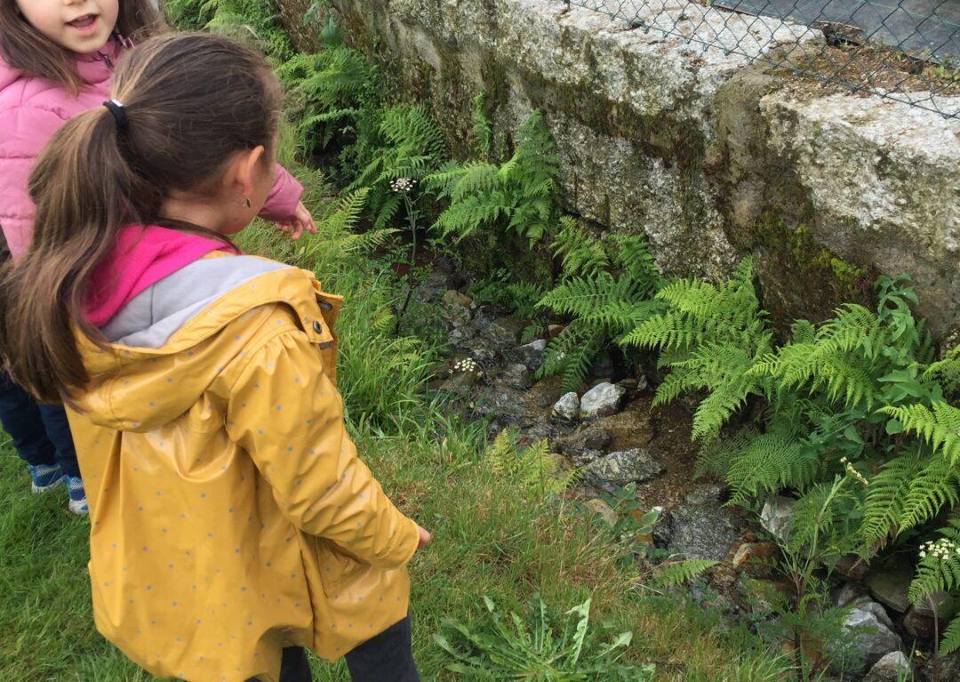 GlobalActionDays-Ação 1-Mergulho na Natureza