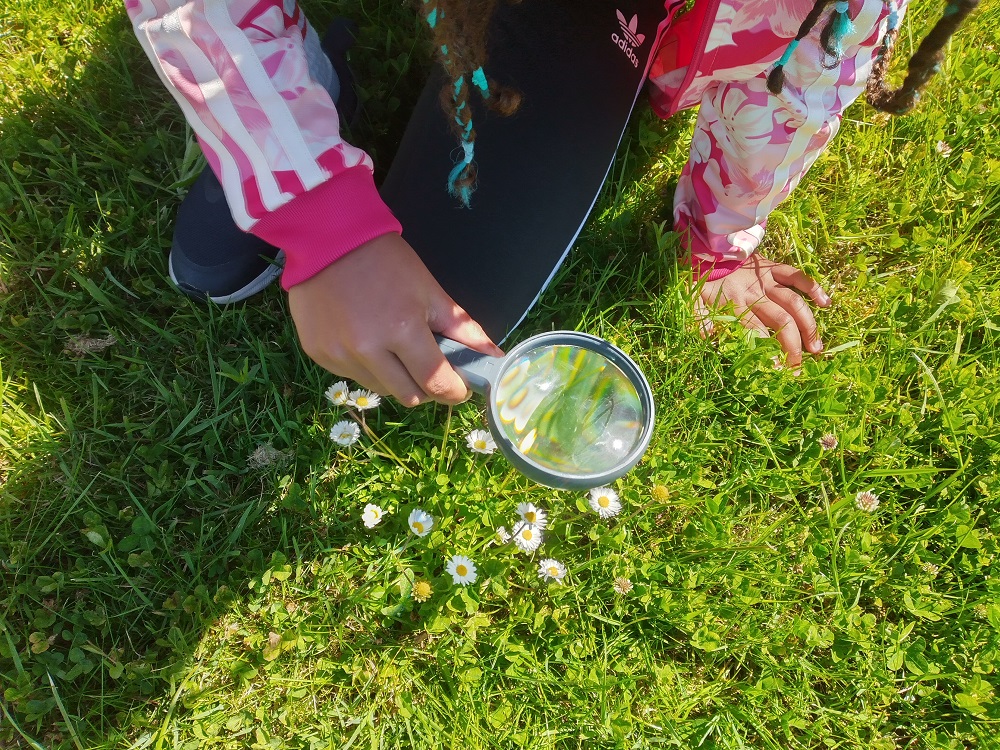 Detetives na Natureza