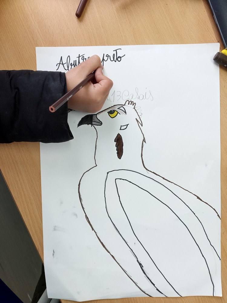 IMG_20220422_165420_HDR