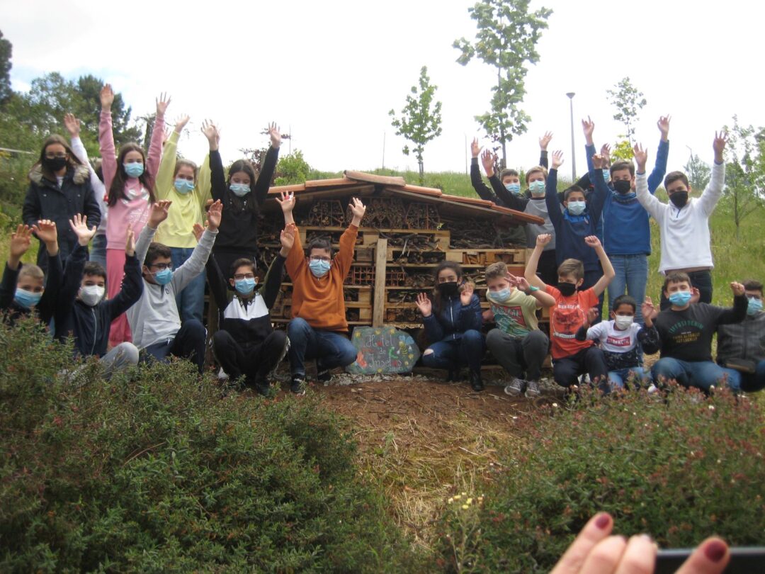 Construção de um Hotel de Insetos na escola