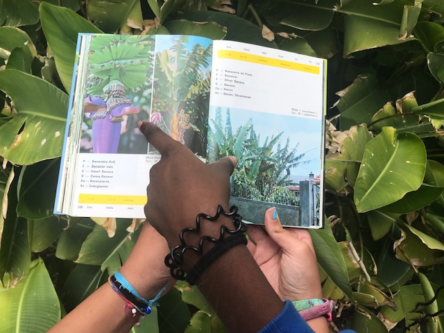 EB PE/123 Bartolomeu Perestrelo participa no Global Action Days 2022 – Ação 2