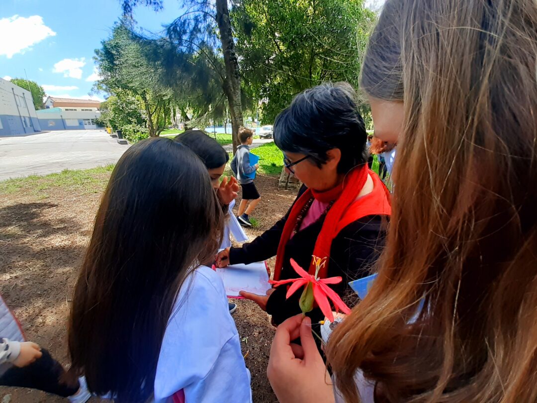 Passeio botânico na escola