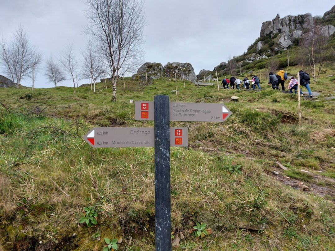 Mergulho na Natureza: Uma viagem pela Natureza