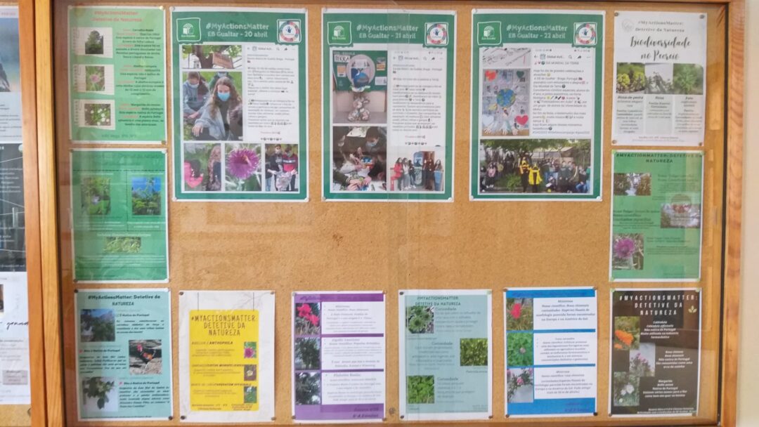 Detetives da Natureza