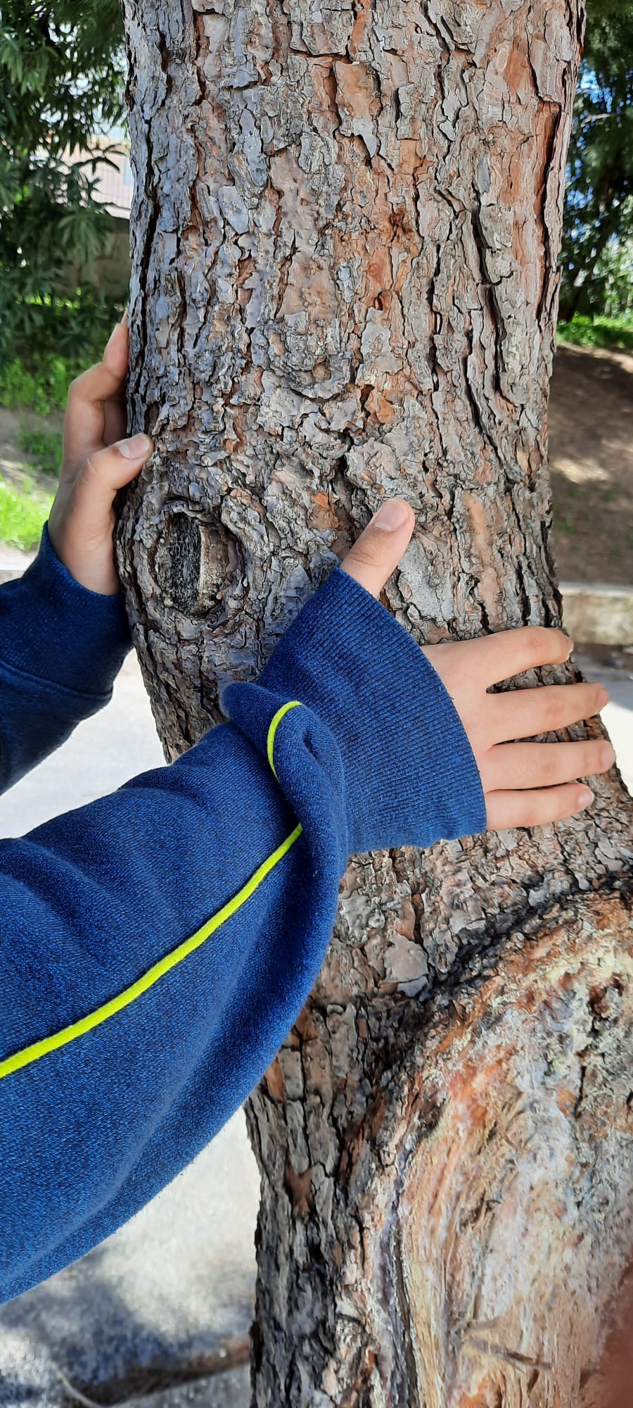 WhatsApp Image 2022-04-28 at 23.49.46