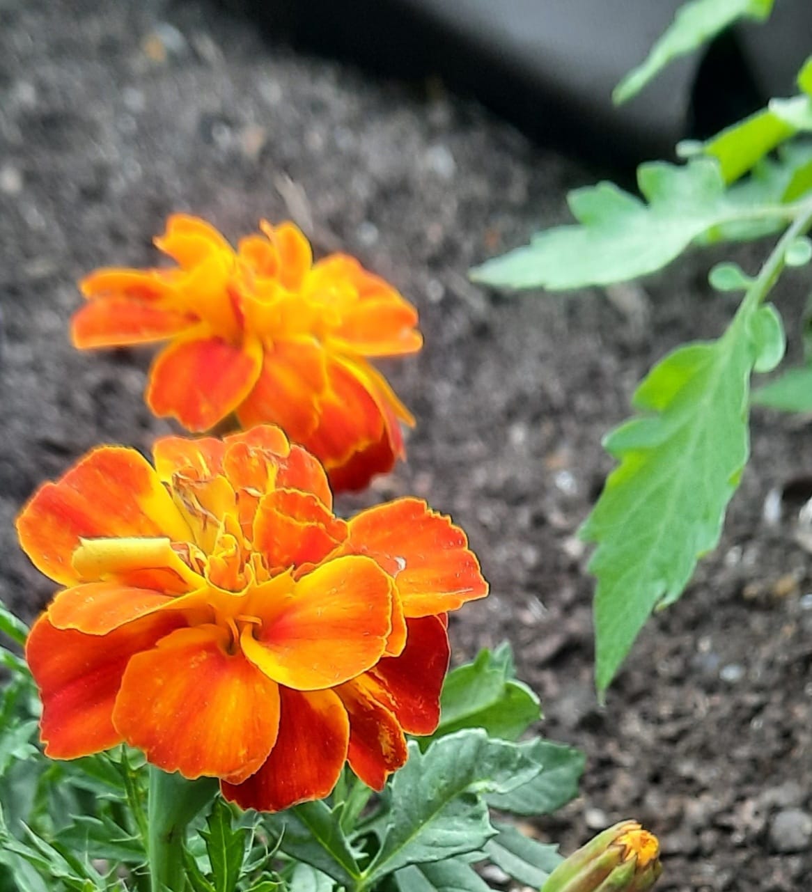 WhatsApp Image 2022-04-29 at 00.12.26