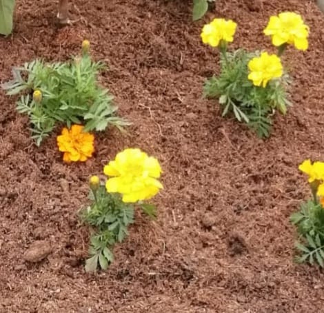 WhatsApp Image 2022-04-29 at 00.14.18