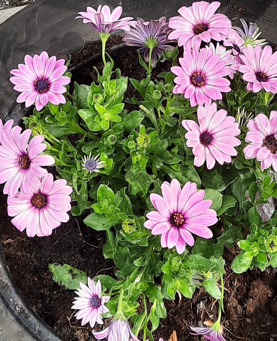 WhatsApp Image 2022-04-29 at 00.16.10