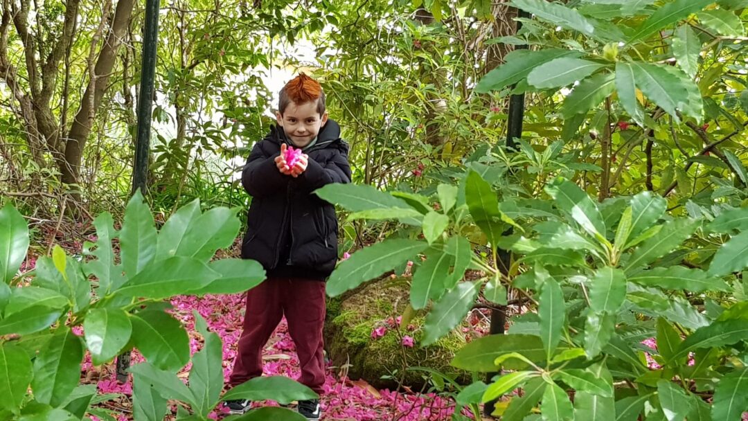 Ação 1: Mergulho na Natureza