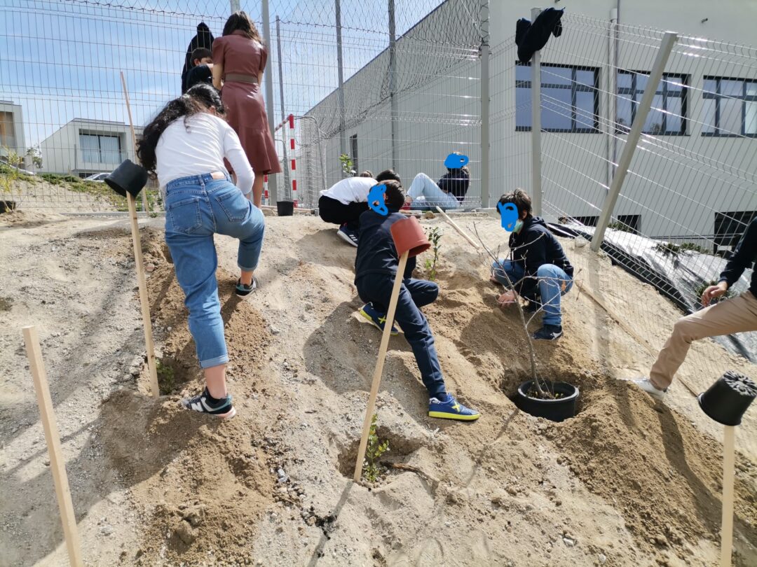 Minifloresta Autóctone CSJB