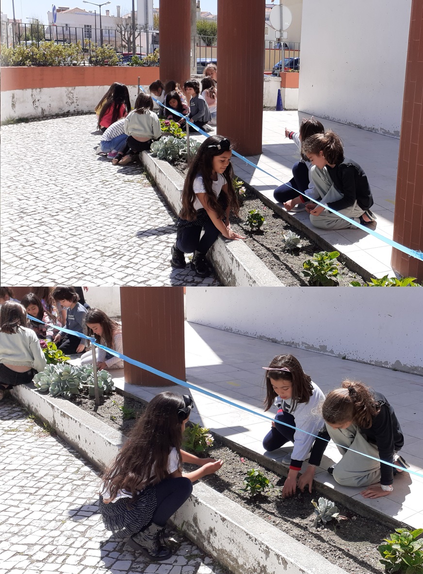 Comemoração do Dia da Terra