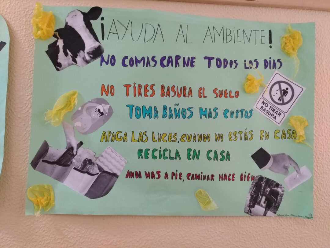 Cada um faz a sua parte