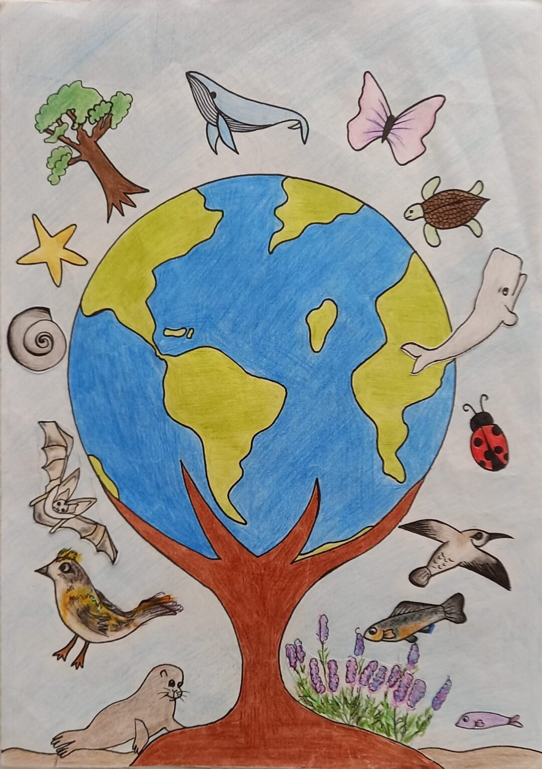 EB PE/123 Bartolomeu Perestrelo participa no Global Action Days 2022 – Ação 3