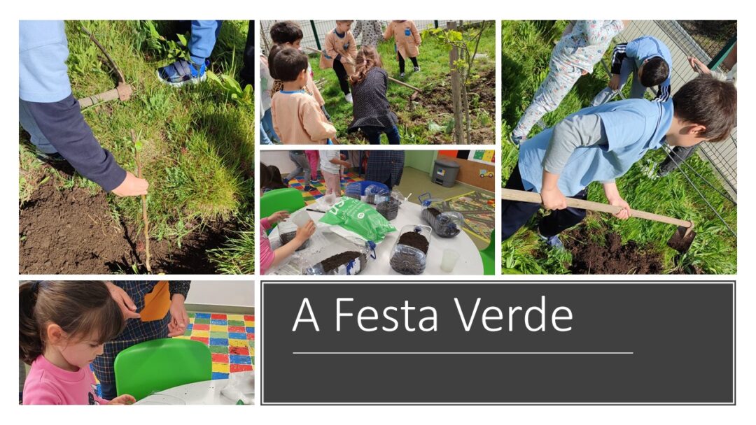 Sementeiras, plantações, manutenção dos espaço, manutenção dos comedouros e bebedouros para pássaros.