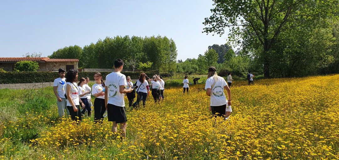 Caminhada pelos Direitos Humanos