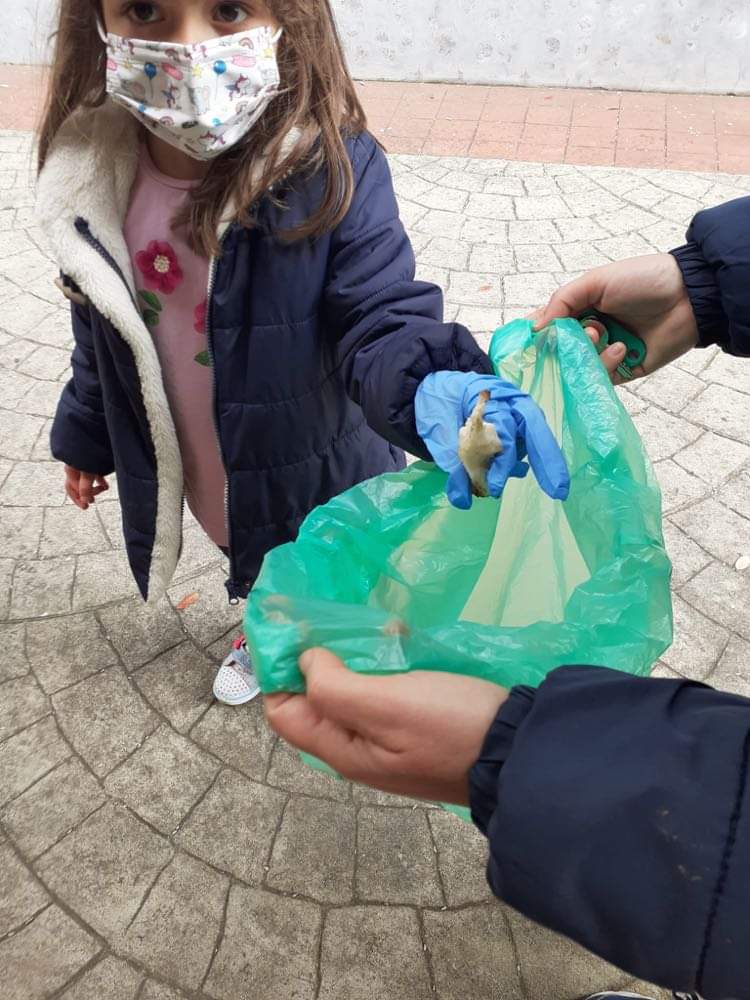 Fazer uma festa verde