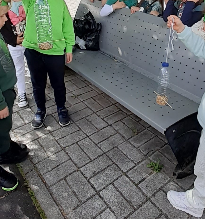 GlobalActionDays-Ação -5 Festa Verde