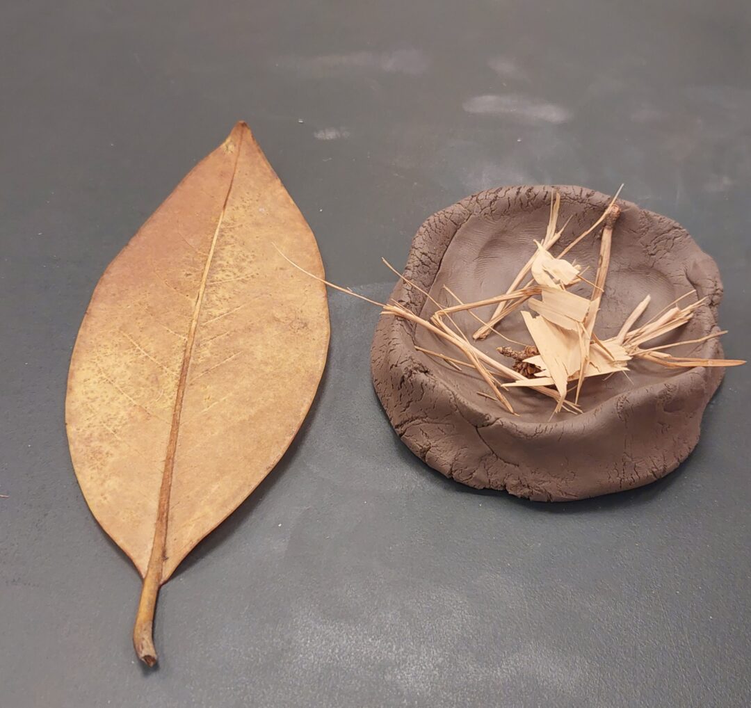 “O mundo no Jardim” – Visita ao jardim da Fundação Calouste Gulbenkian