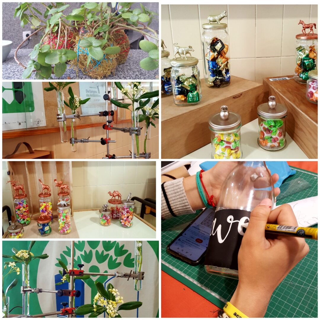 Mercadinho Florido e Escola Feliz