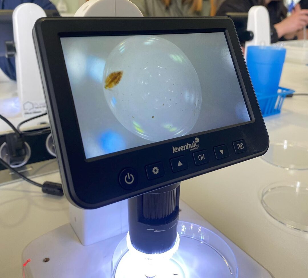 Zonas Húmidas – À descoberta do charco Pedagógico