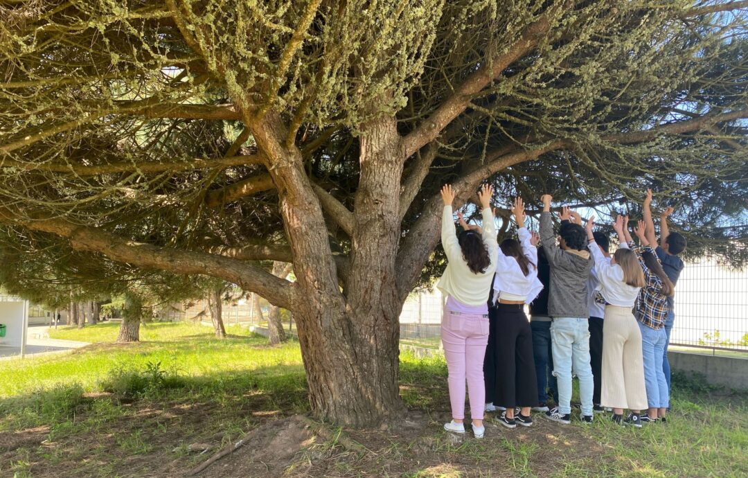 Mergulho na Natureza – 8.º B