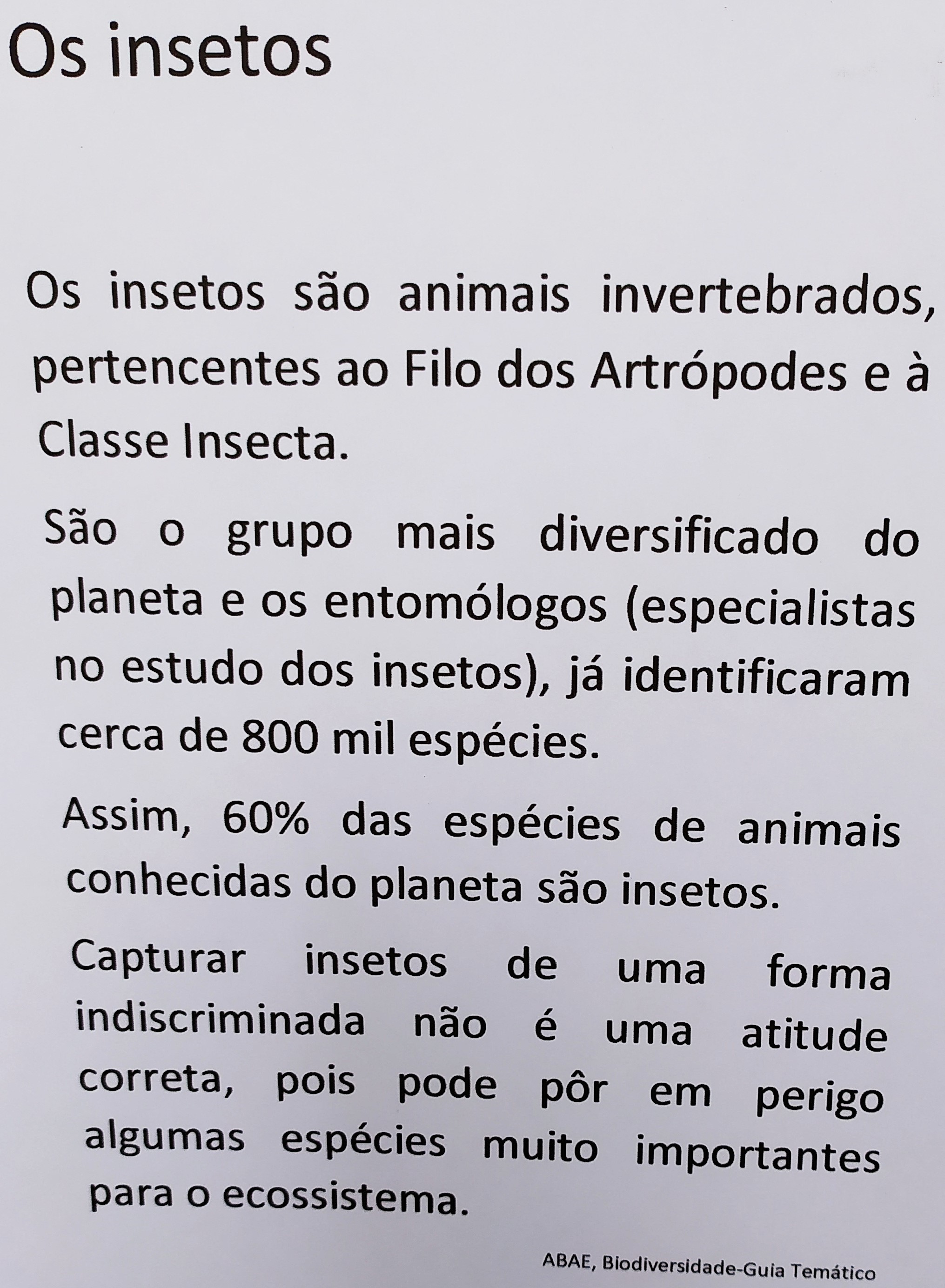 IMG_20220519_155921 - Cópia