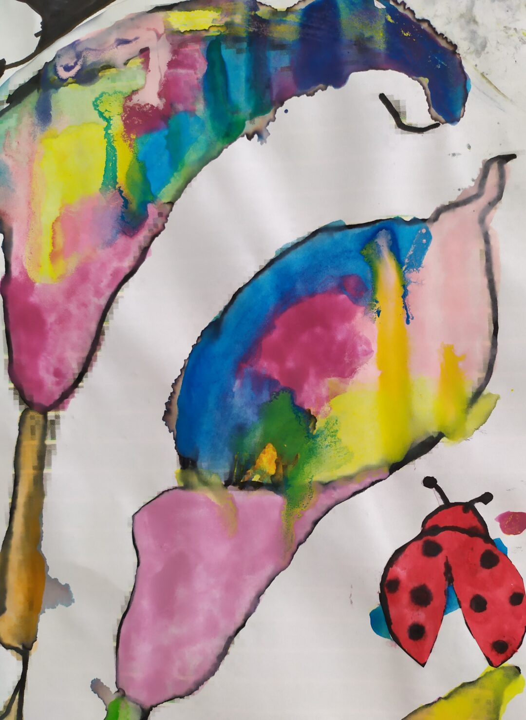 Pintar e mostrar a Biodiversidade!