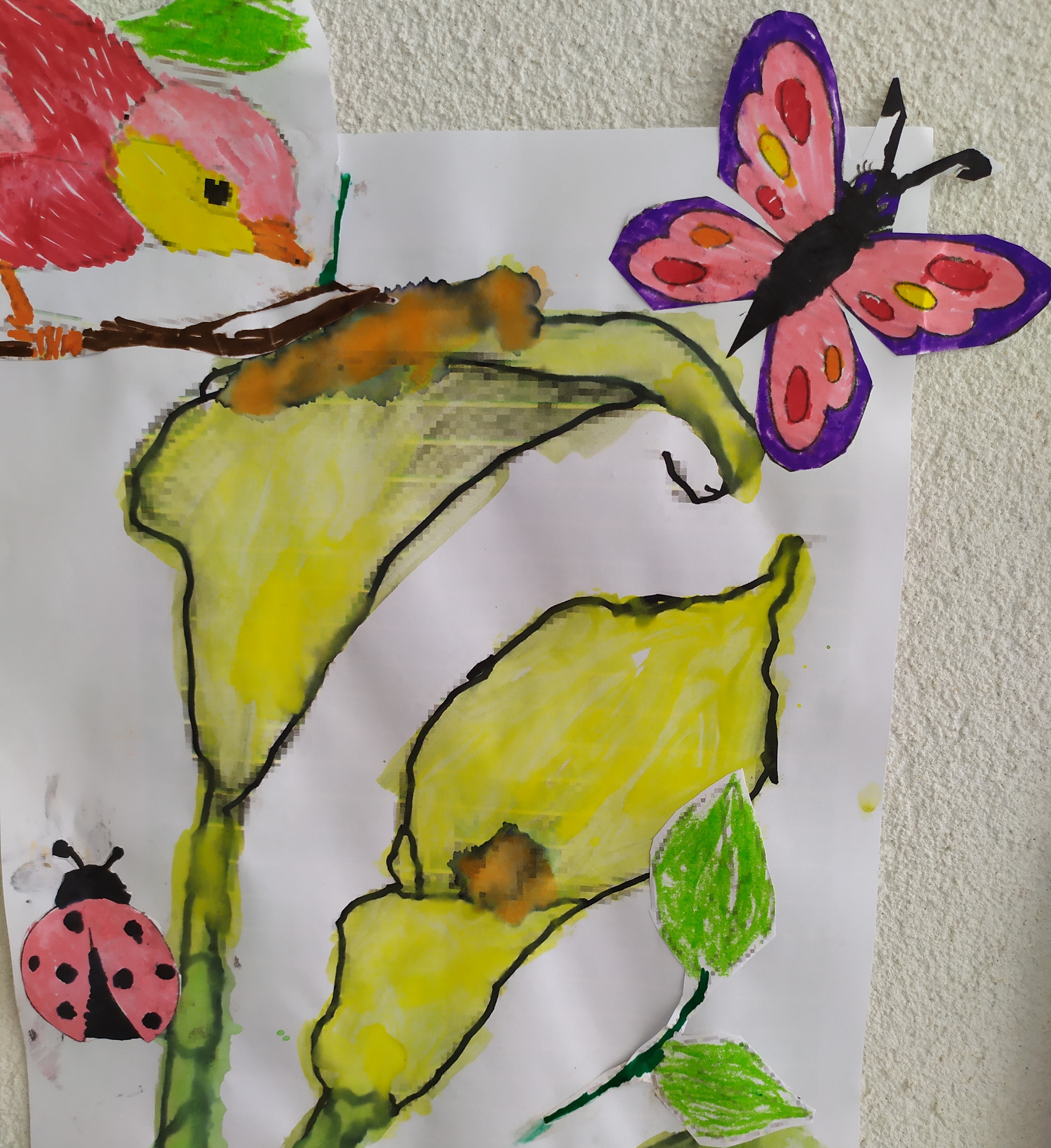 IMG_20220519_160359 - Cópia