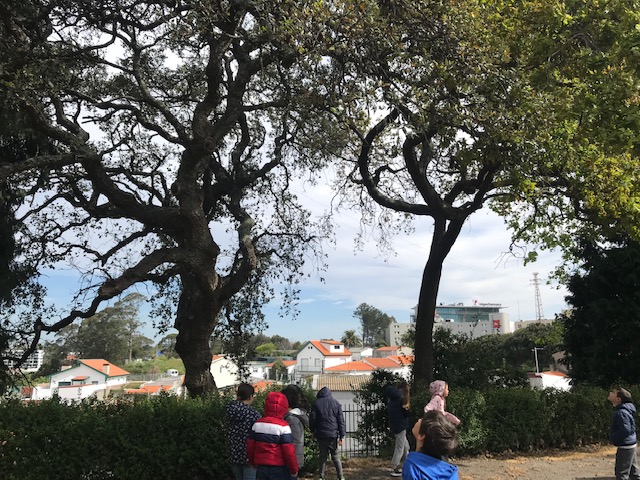 Mergulho na Natureza