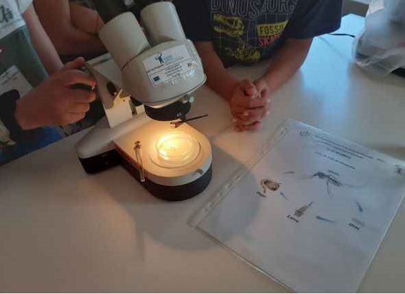 Visita do 4º ano à Escola Sede do Agrupamento