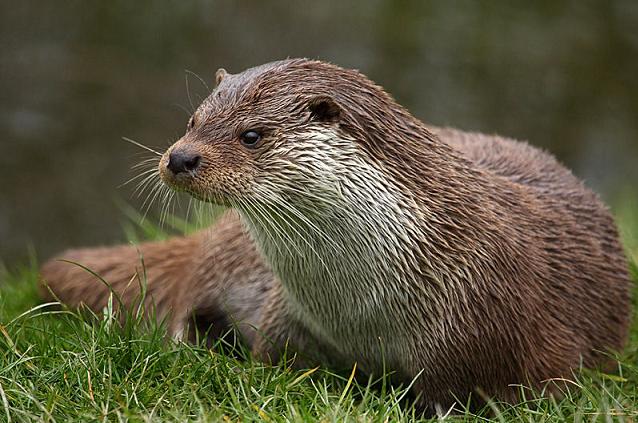 Ação 3: Vida em perigo