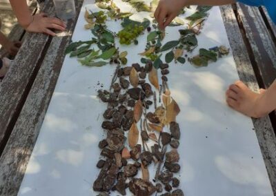 “Aprender lá Fora”