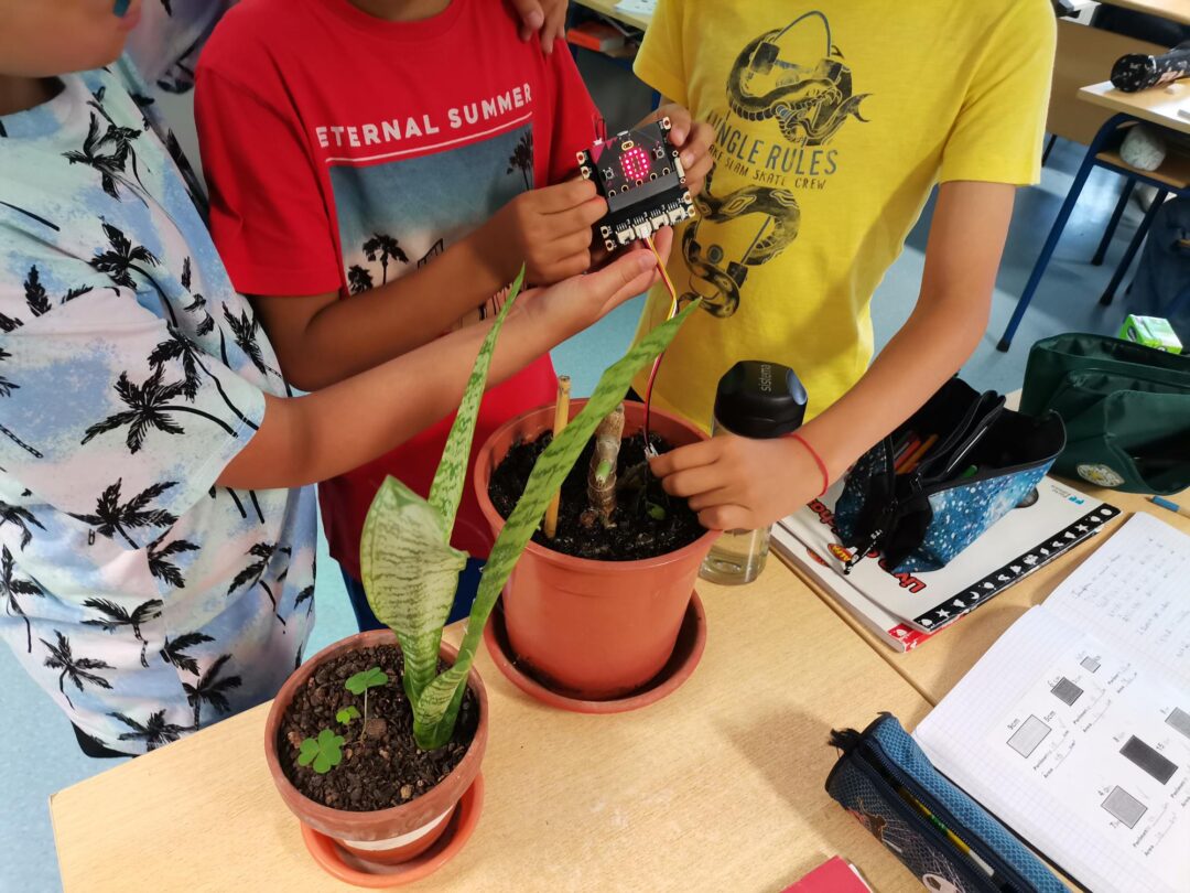 Microbit com sensor de humidade – aulas TIC