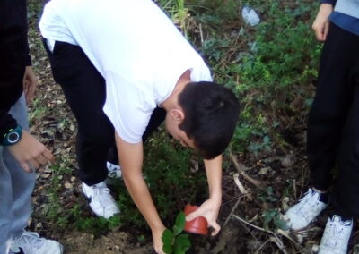 Escola Secundária Manuel Cargaleiro – Comemoração da Semana da Escola