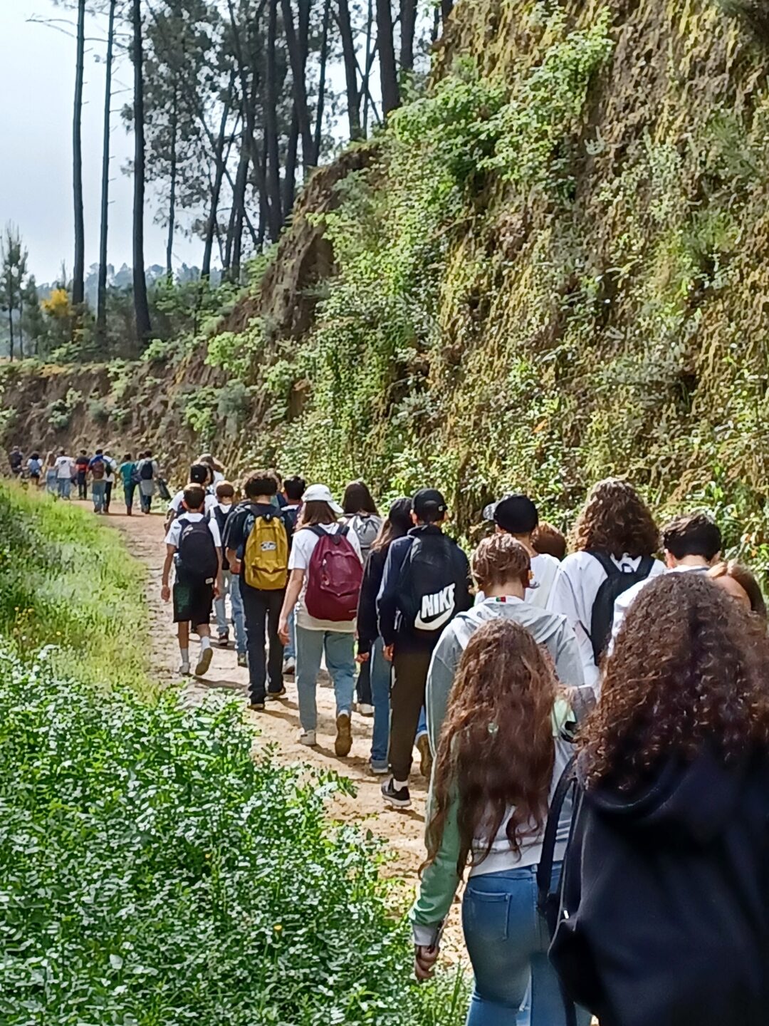 Caminhada pela Sustentabilidade e pela Saúde