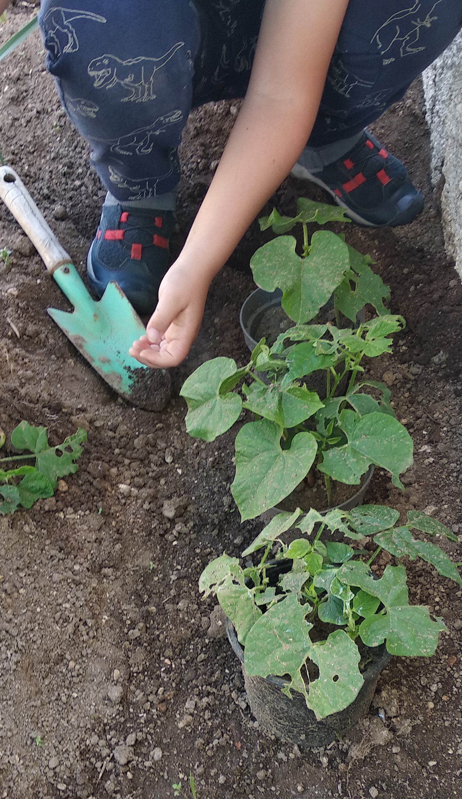 F IMG_20230420_141655