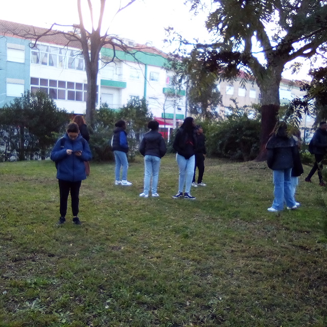 Escola Secundária Manuel Cargaleiro: Estudo da biodiversidade do Jardim da Escola.