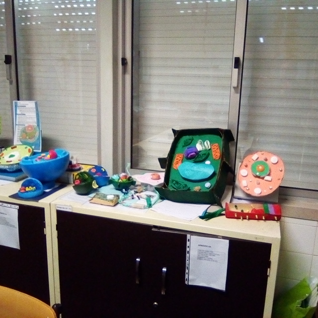 Escola Secundária Manuel Cargaleiro: Trabalhos em materiais reutilizados.