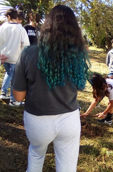 Escola Secundária Manuel Cargaleiro: Comemoração do Dia Mundial da Árvore.