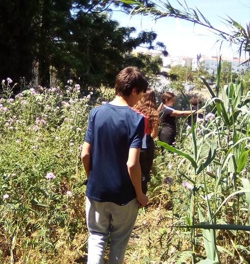 Escola Secundária Manuel Cargaleiro: Dia Mundial da Terra.