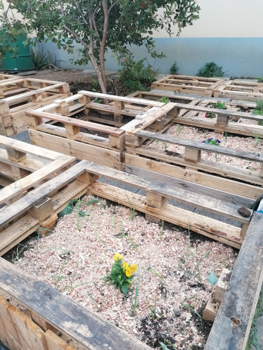 Dia Mundial da Terra & Global Action Days