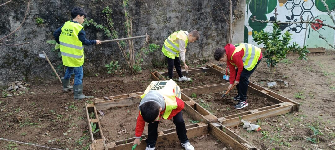 Uma aula na Horta Biológica