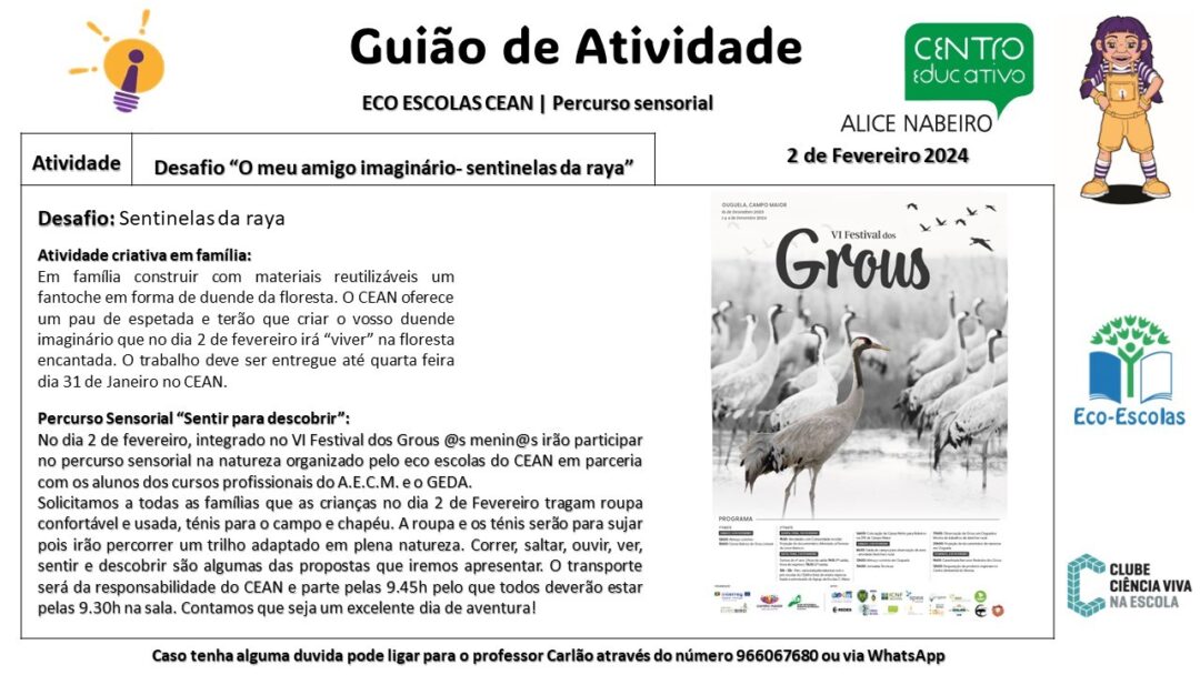 VI Festival dos Grous 2024