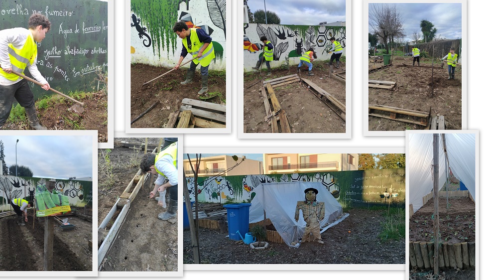 Horta 3- Sementeiras e plantações e e pequena estufa