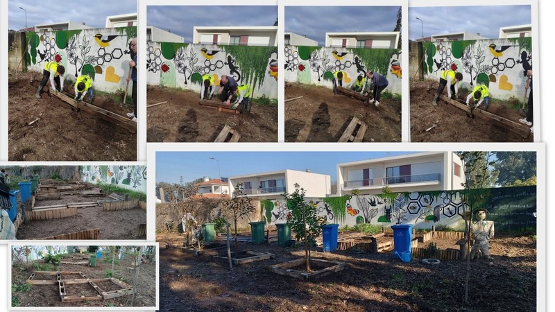 Horta_organização dos canteiros